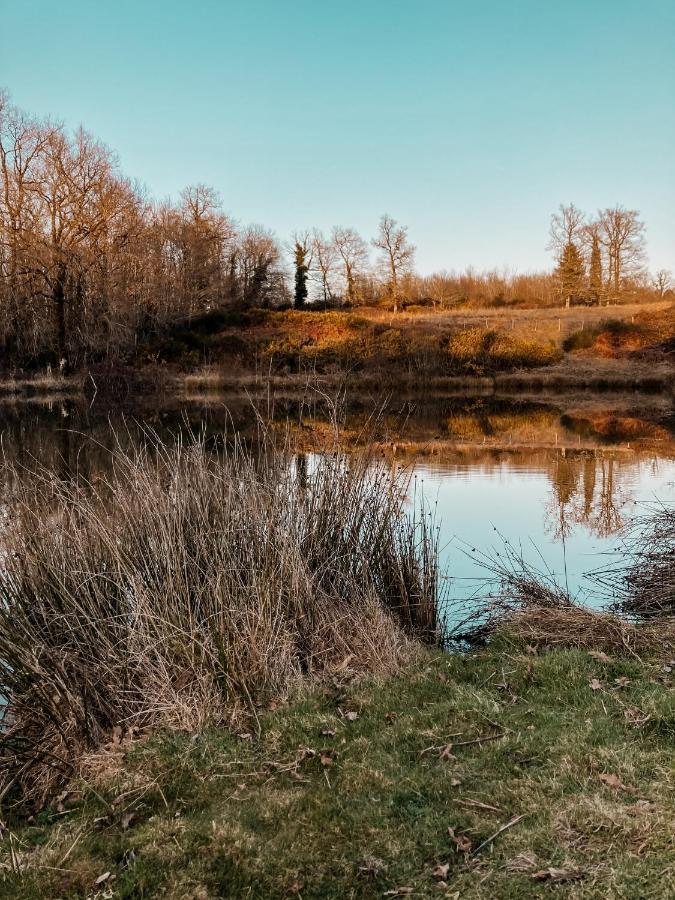 La Ferme Du Pont De Maumy, Cabane Au Bord De L'Etang Et Bain Nordique Busserolles Eksteriør billede