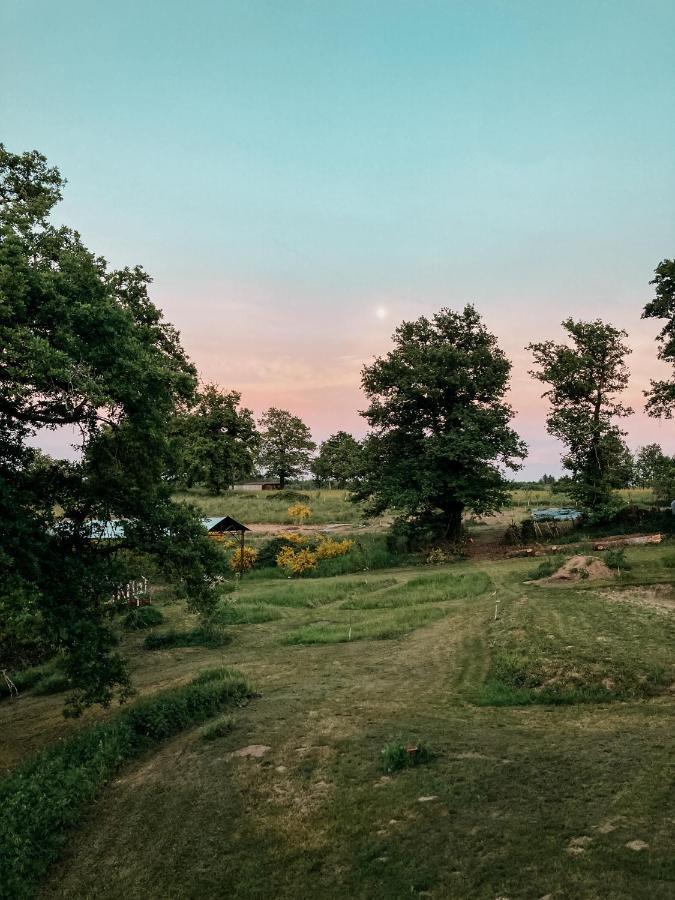La Ferme Du Pont De Maumy, Cabane Au Bord De L'Etang Et Bain Nordique Busserolles Eksteriør billede