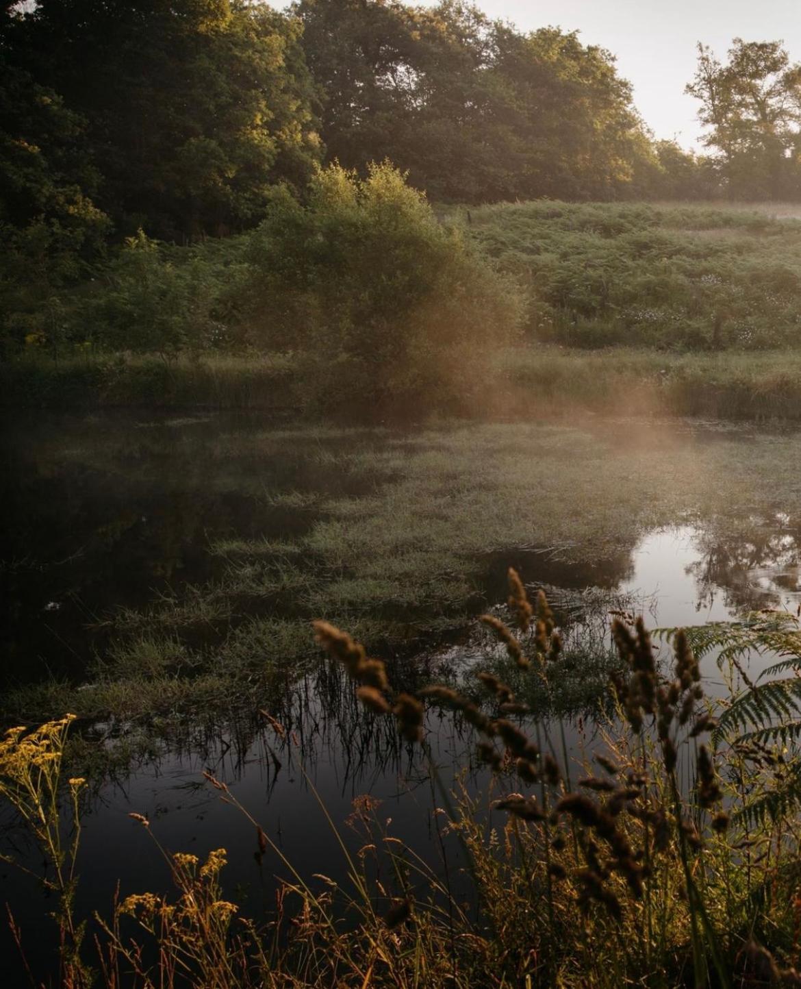 La Ferme Du Pont De Maumy, Cabane Au Bord De L'Etang Et Bain Nordique Busserolles Eksteriør billede
